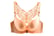WISH-IMPORTS-Front-Closure-Butterfly-Adjustable-Bra-3