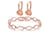 Duo-Set-Multi-Linked-Rose-Gold-Swarovski-Gem-Chain-Bracelet-with-Rose-Gold-Hoop-Earrings-1 (2)