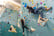 Introductory Rock Climbing Session - The Nest Climbing, Hayes 