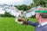 Stockley Birds of Prey Voucher - Cheshire2