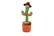 DANCING_CACTUS-4