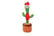 DANCING_CACTUS-6