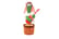 DANCING_CACTUS-5