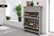 Contemporary-and-Practical-2-Tier-Shoe-Cabinet-5