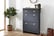 Contemporary-and-Practical-2-Tier-Shoe-Cabinet-8