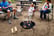 EFG-Outdoor-Fire-Pit-and-BBQ-Bowl-Round-Garden-Patio-Extra-Large-Barbecue-Grill-7