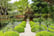 EFG-Florence-Garden-Arch-for-Climbing-Plants-3
