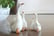 Mini-Garden-Ornaments-Outdoor-Resin-Mother-Duck-1