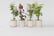 feed_opt_google_7