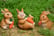 Rabbit-Family-Garden-Ornament-3