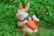 Rabbit-Family-Garden-Ornament-8