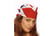 tmpBandanna-M1651846218874