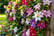 feed_opt_google_23417782