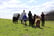 Alpaca Trekking - 90-Minutes - Caledonia Alpacas Falkirk