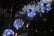 Solar-Hanging-Round-Ball-Butterfly-LED-Light-4