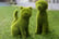 Dog-Style-Topiary-Garden-Decor---7-Designs-1