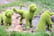 Dog-Style-Topiary-Garden-Decor---7-Designs-2