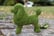 Dog-Style-Topiary-Garden-Decor---7-Designs-3