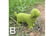 Dog-Style-Topiary-Garden-Decor---7-Designs-5