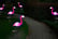 Pink-Flamingo-Solar-Garden-Lamp-4