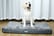 4-DELUX-SELF-WARMING-PET-BED,-DOGS-&-CATS