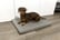 LUXURY-MEMORY-FOAM-ORTHOPAEDIC-DOG-BED-1