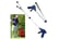 tmpPickupTool1676288847421