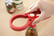 tmplid_opener1676302265975