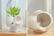 Mini-Animal-Shape-Cute-Succulent-Flower-Pot-3