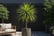 feed_opt_google_27906253