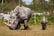 Safari Zoo Rhino Experience - Ulverston