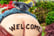 Gardens-Welcome-Gnome-Statue-5