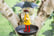 Umbrella-Bird-Feeder-Feeding-Station-5