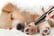 TARGET-PRODUCT-Gentle-and-quiet-Electric-Pet-Grooming-Clipper-4