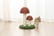 Cute-Mushrooms-Cat-Scratcher-4