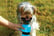 Anti-leaking-squeeze-bottle-for-pets---Blue-and-or-Pink-5