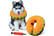 Inflatable-Collar-for-Dogs-2