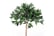 Artificial-Olive-Tree-Plant-5