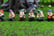 7-PCS-Mini-Gnome-Statue-3