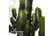 EUPH-VKA391687189094002
