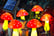 MUSHROOMS-3