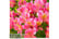 ALST_SUMME1688544047756
