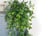 Artificial-Hanging-Plants-Fake-Potted-Plant-Indoor-Outdoor-Decor-3