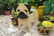 Cute-Dog-Flower-Pots-6