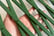 Plants-Support-Fence-Plastic-Trellis-Rack-Outdoor-Wall-Decor-4