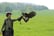 west of england falconry 1