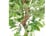 LEAF-7369-1692116848703