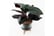 LEAF-401761692116902797