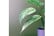 LEAF-401661692116930298