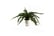 LEAF-401681692116944053